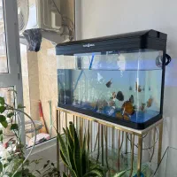 اکواریوم وارداتی به همراه پمپ تصفیه