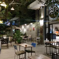 فرصت-تملک-برند-amp-laquo-کافه-درخت-amp-raquo-بیزینس-11-ساله