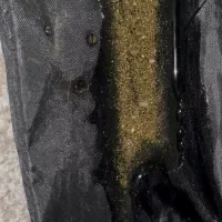 خاک طلا و سنگ مخصوص اکواریوم