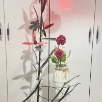 آباژور