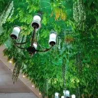 دو عدد لوستر نو نو|لوستر و چراغ آویز|تبریز, |دیوار