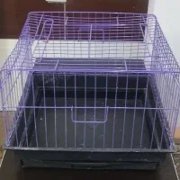 قفس خرگوش و خوکچه