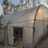 لوله کامل ۳۰۰متر گلخانه با پلاستیک سالم