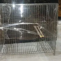 قفس پرنده|لوازم جانبی حیوانات|بجنورد, |دیوار