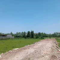 فروش زمین مسکونی به مساحت ۱۵۰۸ متر مربع|فروش زمین و ملک کلنگی|رشت, لاکان شهر|دیوار