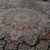 فرش|فرش|هشتگرد, فاز ۲ مهستان|دیوار