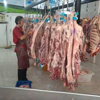 همبرگر دستی مخصوص|خوردنی و آشامیدنی|مشهد, جلالیه|دیوار