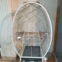 قفس بزرگ پرنده