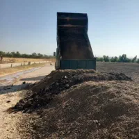 کود حیوانی گوسفند و گاو