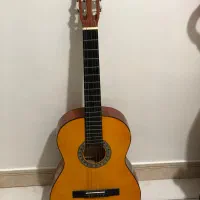 گیتار درحدنو