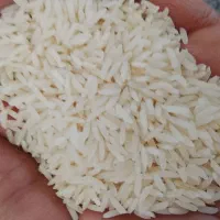 برنج هاشمی درجه یک