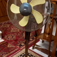 پنکه فَکِر ( Fakir )  ایستاده