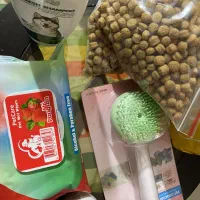 لوازم سگ|لوازم جانبی حیوانات|رشت, امین الضرب|دیوار