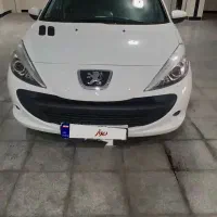 ۲۰۷ پانا بی رنگ