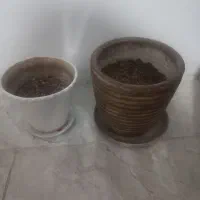 گلدان سفالی