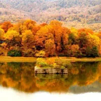 تور فوقالعادهٔ گلستانگردی|تور و چارتر|مشهد, فارغ التحصیلان|دیوار