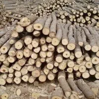 خرید انواع چوب گردو صنوبر بید وغیره ...|خدمات باغبانی و درختکاری|زاینده رود, |دیوار