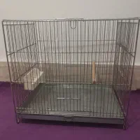 سهره  قناری  سهره قناری