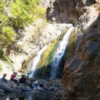 تور طبیعتگردی بوژان