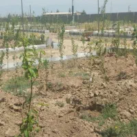 جدول کاری‌بنایی‌موزائیک‌‌آرماتوربندی‌سیمانکاری‌‌