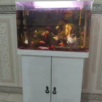 آکواریوم k580 مجهز