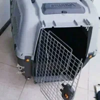 باکس سگ سایز 7