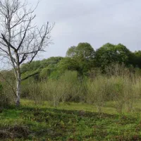 زمین-فروشی