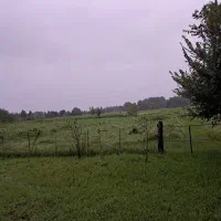 باغ ویلای لوکس جنگلی 1500 متری با تمام امکانات|اجارهٔ کوتاه‌مدت ویلا و باغ|کوچصفهان, |دیوار