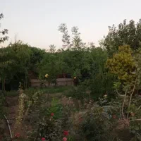 اجاره دامداری ۱۰۰۰متری