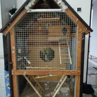 قفس بزرگ چوبی|لوازم جانبی حیوانات|محمدشهر, محمدشهر|دیوار