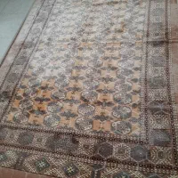 فرش|فرش|اصفهان, دانشگاه اصفهان|دیوار