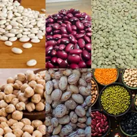 انواع حبوبات لوبیا چیتی لپه برنج روغن