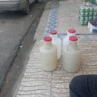 تعدادی دبه خیار شور