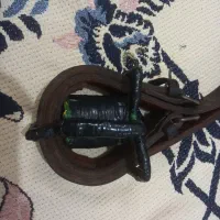 کمربند علم کشی