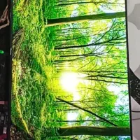 امیدیه|تلویزیون و پروژکتور|امیدیه, |دیوار