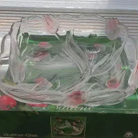 ظرف پذیرایی گل لاله والتر