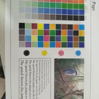 کونیکا ۴۵۲|پرینتر، اسکنر، کپی، فکس|کرمانشاه, |دیوار