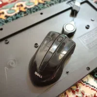 موس نونو