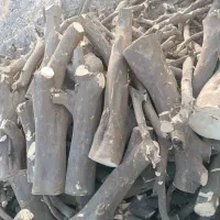 چوب پرتقال خشک وتر