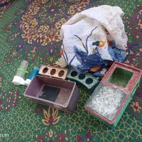 مرغ عشق|پرنده|کربال, |دیوار
