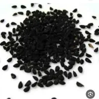 بذر پیاز