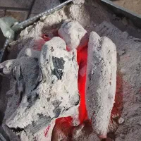 ذغال «عمده در کرمان»