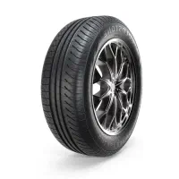 لاستیک گلدستون مدل GS 2000|قطعات یدکی و لوازم جانبی|کلاله, |دیوار