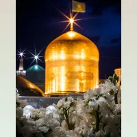 مشهد قسطی فوری / با یک سوم پیش پرداخت/ ویژه شهریور