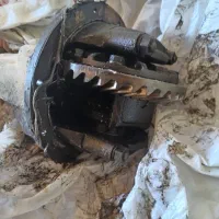 دفرانسیل اردی