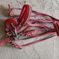 تعدادی لوازم اسب