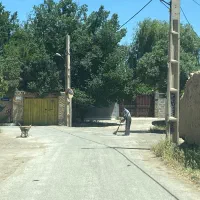 سرایداری و نگهداری
