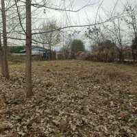 500مترزمین-مسکونی-قابل-تفکیک-سندتک-برگ