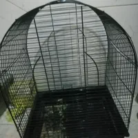 قفس پرنده|لوازم جانبی حیوانات|ری, شهادت|دیوار