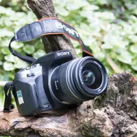 دوربین|دوربین عکاسی و فیلم‌برداری|دهدشت, |دیوار